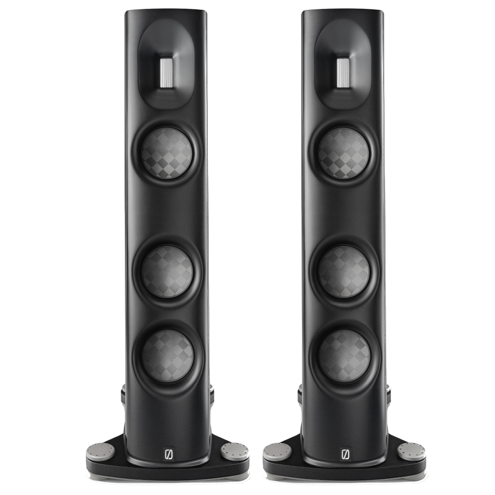 Børresen Acoustics C2