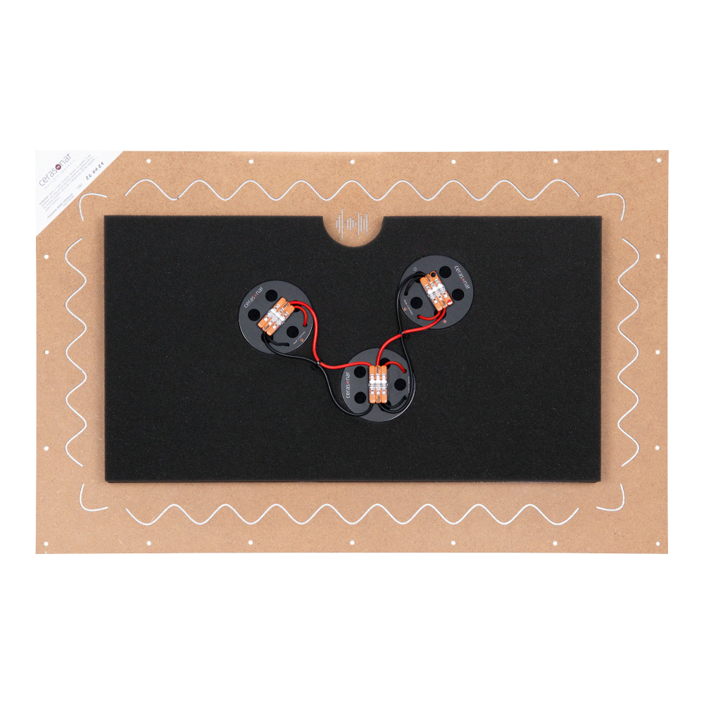 Cerasonar 4062 Reference Pro Einbaulautsprecher Cerasonar 4062 Reference Pro Einbaulautsprecher