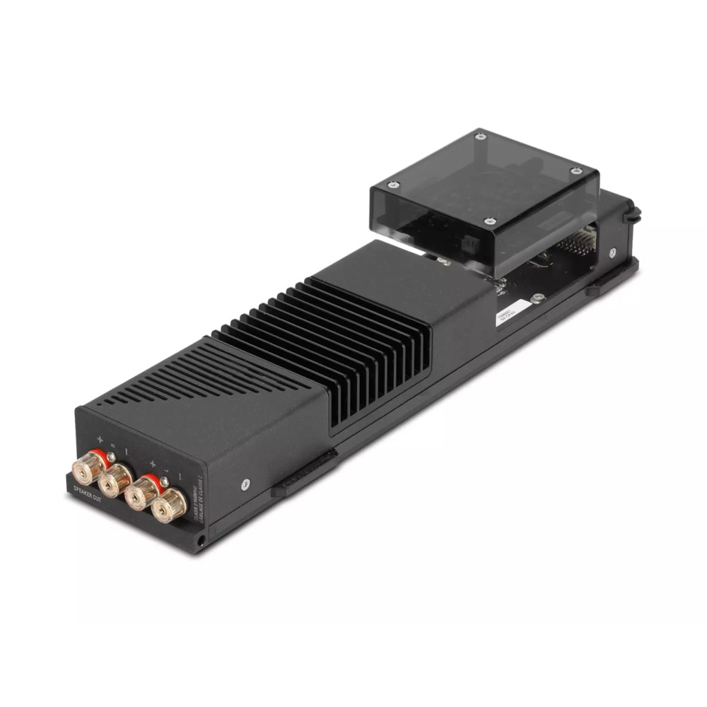 Linn-Selekt-DSM-Speaker-Out-Modul-1-LifeLike Detailansicht