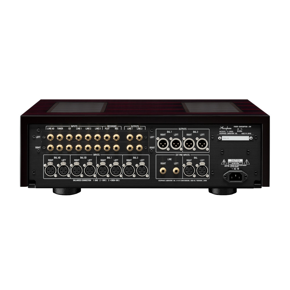 AccuphaseC3900-Back-LifeLike Detailansicht