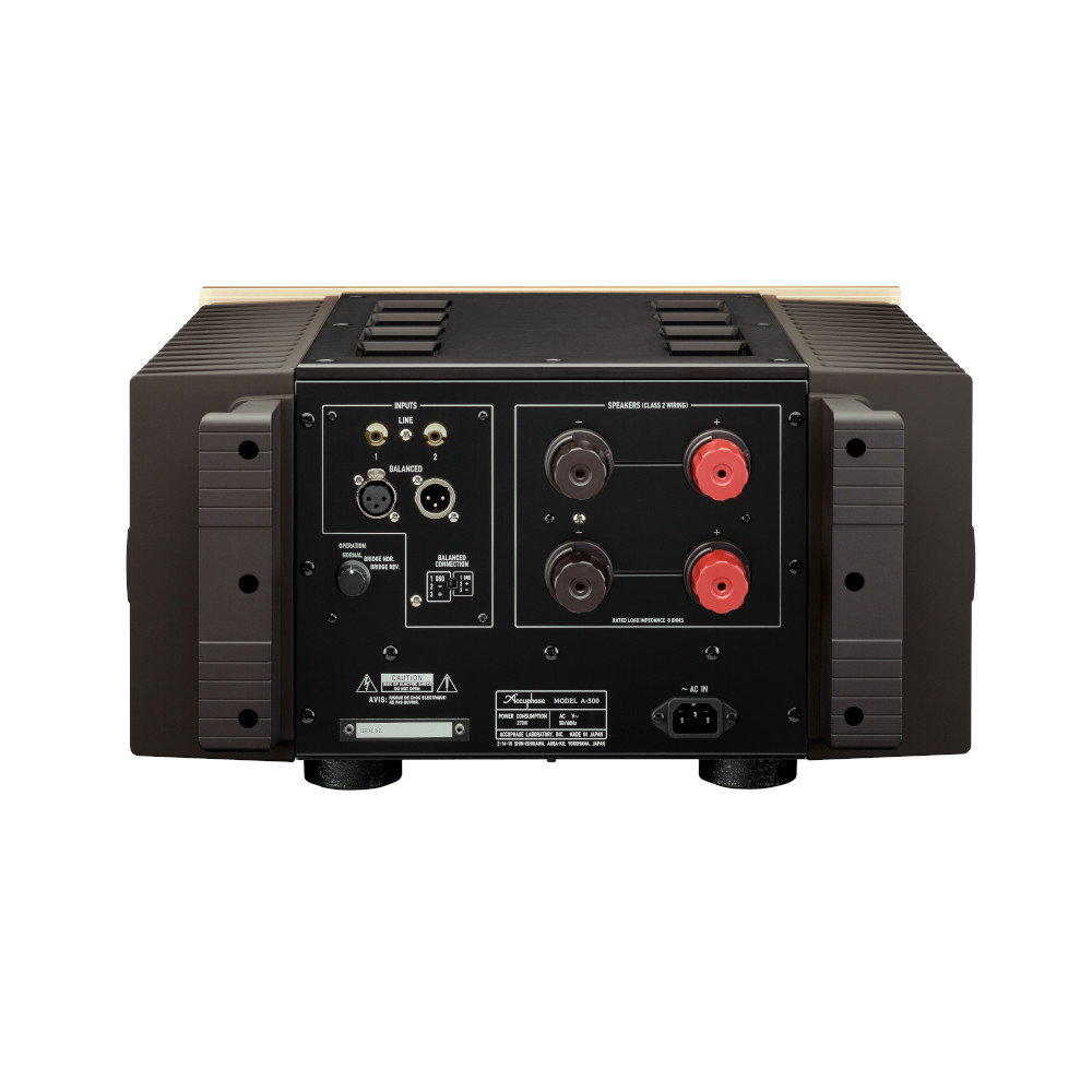 AccuphaseA-300-Back-LifeLike Detailansicht