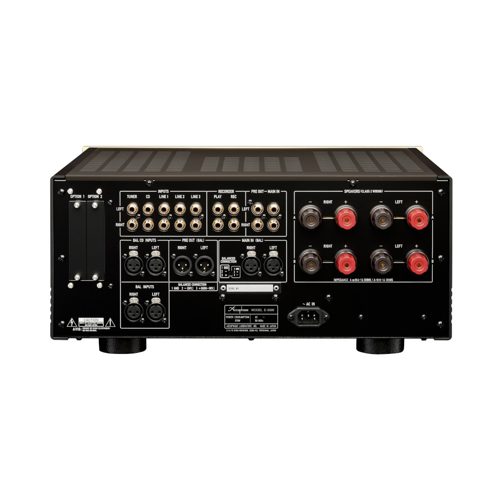 AccuphaseE-5000-Back-LifeLike Detailansicht