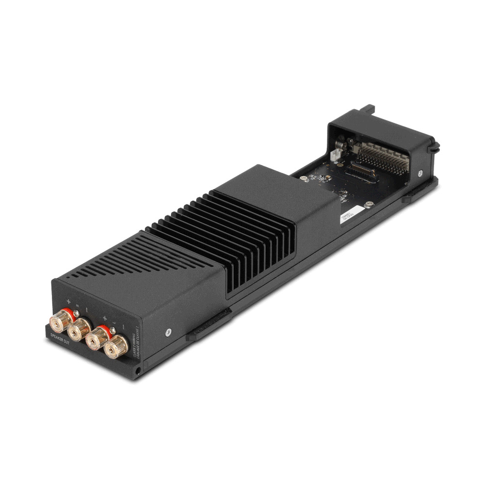 Linn-Selekt-DSM-Speaker-Out-Modul-LifeLike Linn Selekt DSM Speaker Out-Modul