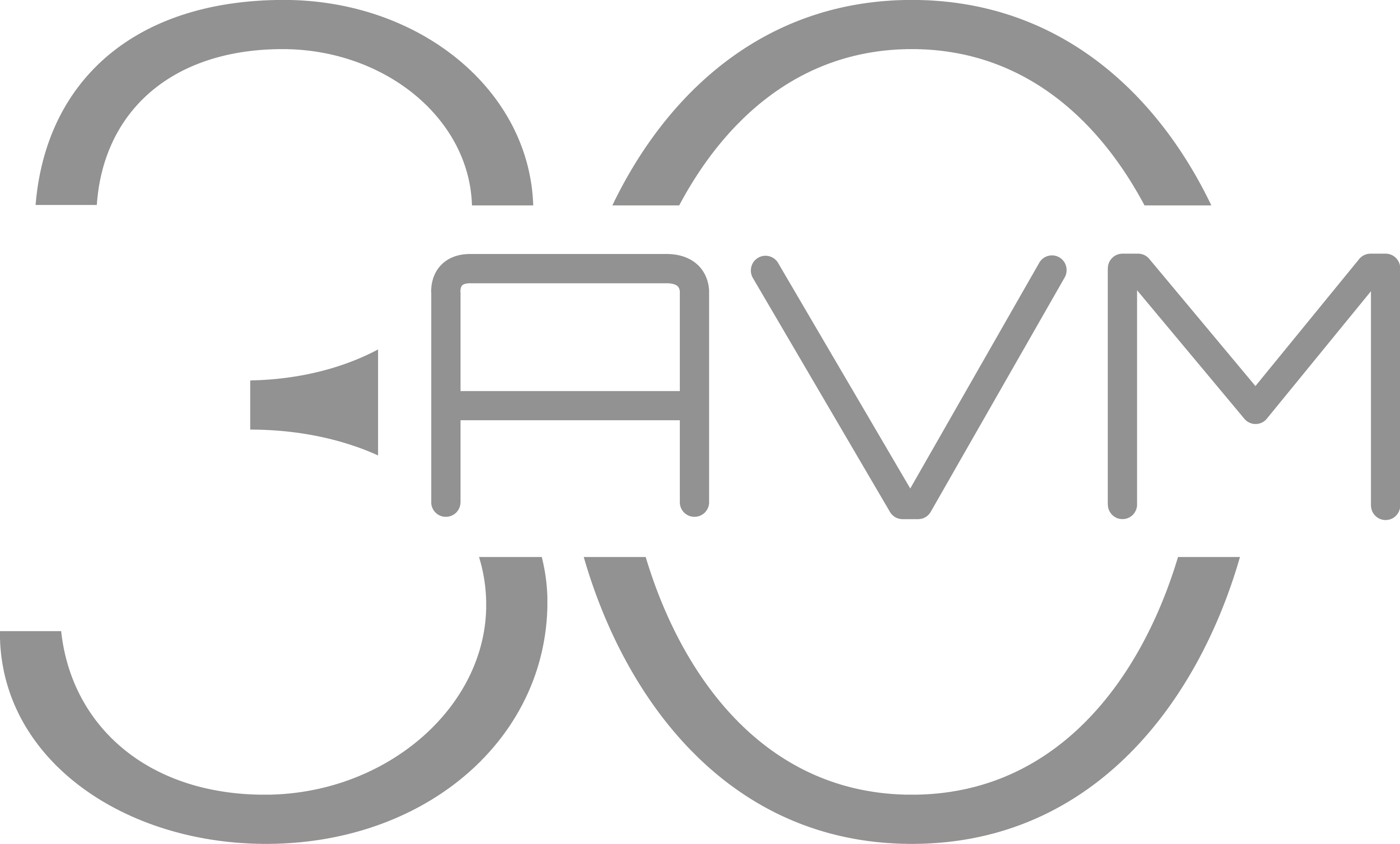 AVM30_Logo_grey